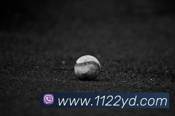 云顶国际APP 封面图