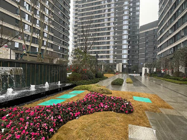 “杨康”后如何食疗？五份菜谱助你更快恢复