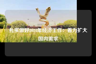 扎实做好2024年经济工作：着力扩大国内需求