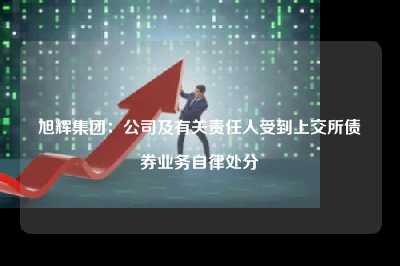 旭辉集团：公司及有关责任人受到上交所债券业务自律处分