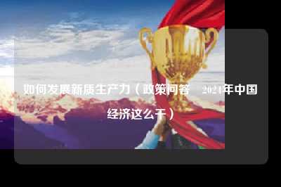 如何发展新质生产力（政策问答・2024年中国经济这么干）