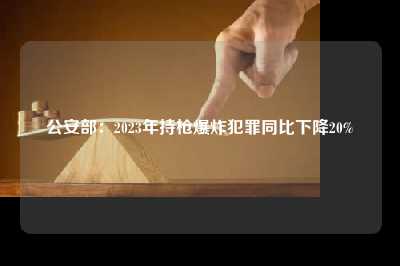 公安部：2023年持枪爆炸犯罪同比下降20%