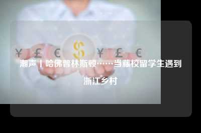 潮声丨哈佛普林斯顿……当藤校留学生遇到浙江乡村