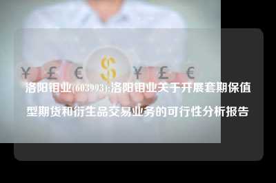 洛阳钼业(603993):洛阳钼业关于开展套期保值型期货和衍生品交易业务的可行性分析报告